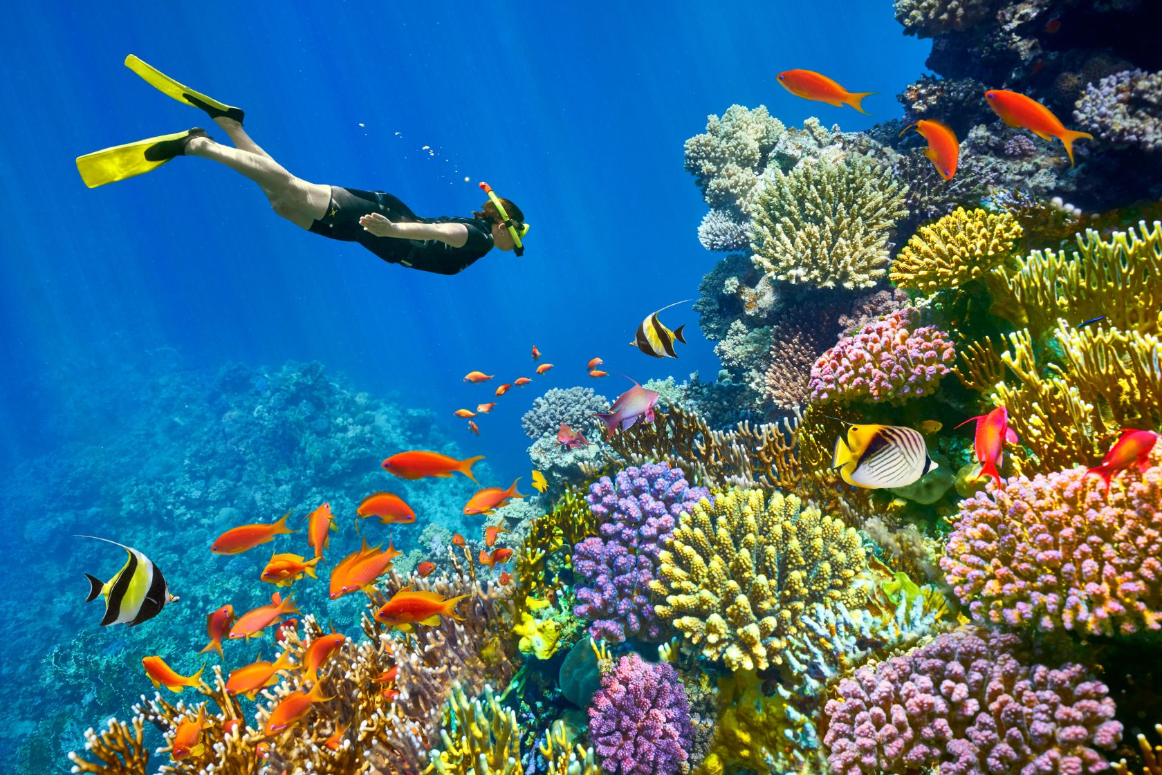 Sharm El Sheikh Turu Ajet Havayolları ile 5 Gece Her Şey Dahil Oteller